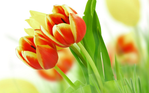803758 (a): :2560x1600